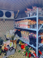 Cámara Frigorífica Modular para Frutas y Verduras, con Compresor Copeland