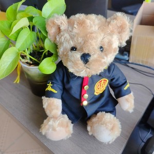 Giudice di trasferimento di calore orso uniforme orsacchiotto di peluche personalizzato orso bambola regalo Logo regalo - Product Image 5