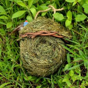 Nido per Uccelli in Erba Artigianale per Canarini e Altri Volatili, Consegna Rapida, Best Seller - Product Image 5