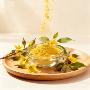 <span class=keywords><strong>Prix</strong></span> de vente direct <span class=keywords><strong>d</strong></span>'usine Discount extrait de plante <span class=keywords><strong>Forsythia</strong></span> Fructus poudre <span class=keywords><strong>d</strong></span>'extrait de <span class=keywords><strong>forsythia</strong></span> pleurant - Product Image 6