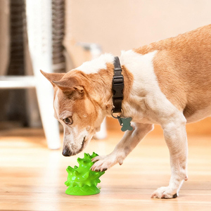 Giocattolo Dentale Multifunzionale - Gioco da Masticare per Cani in TPR per Rimozione Placca e Stimolazione Mentale - Product Image 5