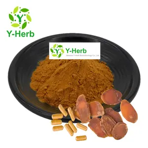 Factory Price Red Panax Ginseng Root/Leaf Extract Powder 10% 80% Red Panax Ginseng Extract