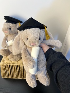 Peluche Coniglio Jelly Cats Classe 2026 per il Raggiungimento della Piazzata di Laurea con Sacchetto Antipolvere Gratuito, Regalo Commemorativo per Studenti - Boutique - Product Image 6