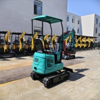 Mini-excavatrice compacte de 1200 kg avec auvent simple, équipement de terrassement pour jardin