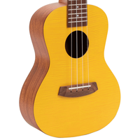 High Quality Mahogany 23 Inch for Professional Beginners Adults Concert Ukulele