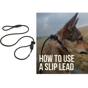 犬用戦術訓練トレーナー用アクセサリー 大型犬用ハーネスアクセサリー - Product Image 3