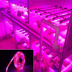 Indoor LED Plant Grow Strip <b>Lights</b> 5 Meter Waterproof 12V Full Spectrum Flexible <b>Light</b> for Hydroponic Greenhouse Home Use - Product Image 6