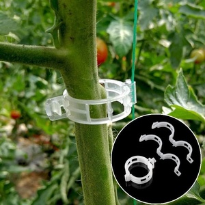 <span class=keywords><strong>Vendita</strong></span> calda in silicone pomodoro innesto traliccio traliccio clip di plastica con Uv per supporto vegetale 23mm - Product Image 1