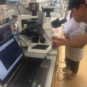 <span class=keywords><strong>Microscope</strong></span> biologique inversé pour la culture cellulaire et la recherche biologique, <span class=keywords><strong>prix</strong></span> d'usine Boshida BD-S1 - Product Image 5