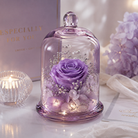 Rosa Ewige Rosen OEM Unvergängliche Blumen in Glaskuppel mit Warmem Licht für Geschenkeläden, Hochzeiten und Heimdekoration