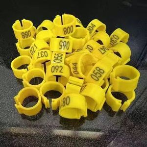 Open Kleurrijke Vogel Voet <span class=keywords><strong>Ring</strong></span> 8Mm <span class=keywords><strong>Plastic</strong></span> Homing Duif Identificatie Ringen Kleurrijke Open Vogel Benodigdheden - Product Image 5