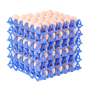 ถาดวางไข่พลาสติกสำหรับขนส่งไข่ - Product Image 1