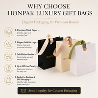 Tas Kado Kertas Mewah Custom dengan Pegangan Die Cut, Logo Dicetak, Kemasan Belanja Butik untuk Perhiasan Kosmetik HONPAK