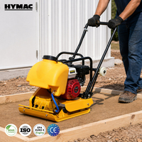 Compacteur vibrant professionnel à essence pour la construction de routes et la préparation des sols