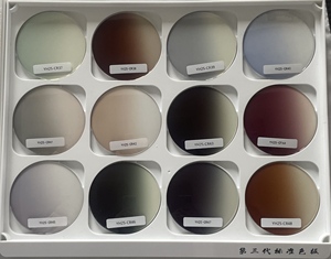 2025 nuove lenti da sole con indice di 1.499 solido colorato perfetto Ex fabbrica CR39 - Product Image 4