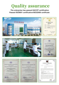 Winstown Fat Burn Plus Moringa 28 Day Detox Tea Custom OEM Burning 28 Days Fit Slimming Tummy Tea con Moringa Weight Loss Tea - Product Image 5