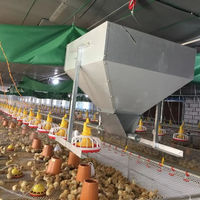 Nouveau Système d'alimentation avicole entièrement automatique en promotion – Ligne d'alimentation pour poulets en matériau galvanisé, facile à utiliser pour les fermes avicoles