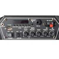 Haut-parleur portable professionnel sans fil 8 pouces avec subwoofer et fonction karaoké