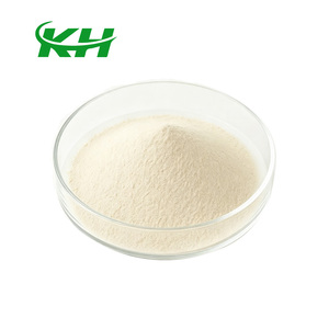 Poudre d'Akkermansia Muciniphila en gros, complément alimentaire, 200 milliards d'UFC/g, poudre AKK - Product Image 1