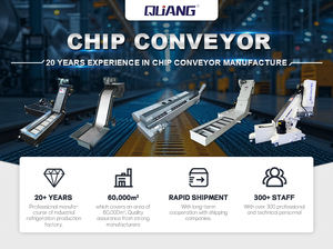 Aangepaste Chip Transportband Voor Cnc Machine Band Staal Schroot Metalen Chip Transportsystemen Voor Werkplaats - Product Image 6