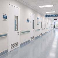 Portes de salle d'opération hospitalière en acier, simples ou doubles, de haute qualité, personnalisées pour les salles d'hôpital spéciales