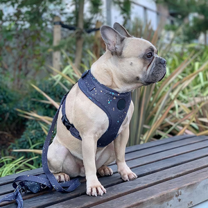 Logotipo propio, accesorios para cachorros, arnés único negro personalizado para gatos y perros, suministros para mascotas de alta calidad, arnés de correa para perros para mascotas - Product Image 5