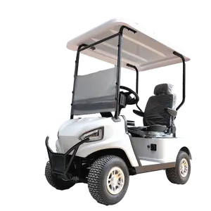 सिंगल सीट गोल्फ कार्ट इलेक्ट्रिक गोल्फ बग्गी 2KW एसी सिस्टम मिनी गोल्फ कार्ट लिथियम बैटरी