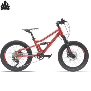 Vélo de montagne pour enfants Hulda 20 pouces en alliage d'aluminium, suspension intégrale, 10 vitesses, vélo de cross-country - Product Image 1