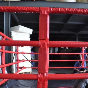 Fábrica de alta calidad de lucha aprobado por la <span class=keywords><strong>AIBA</strong></span> MMA <span class=keywords><strong>boxeo</strong></span> anillo ciervos inflables competencia de <span class=keywords><strong>boxeo</strong></span> anillo para venta - Product Image 5