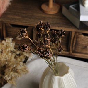 Flores de Pistacho Secas al por Mayor, Vainas de Pistacho Naturales Reales, Flores Secas para Decoración de Bodas y Navidad - Product Image 3