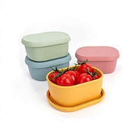 Boîte à lunch bento en silicone résistante au micro-ondes et bol pour bébé avec moule personnalisé disponible - capacité inférieure à 300 ml