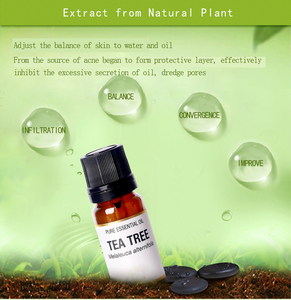 Hot Sale 100% Pure Natural <span class=keywords><strong>Tea</strong></span> <span class=keywords><strong>Tree</strong></span> <span class=keywords><strong>Oil</strong></span> para Skincare Bulk Aromaterapia Óleo Essencial - Product Image 5