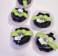 Maatwerk Vinyl Zelfklevende Sticker Verpakking Fruit Etiketten