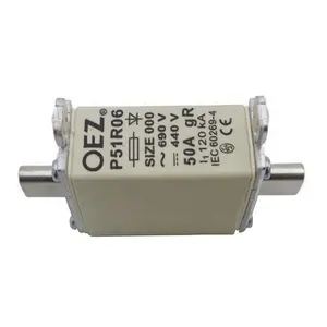 Original neue elektrische elektrische Teile Ausschnitt Auto Sicherungs einsätze P51R06 25A/40A/50A/80A Power Ceramic Thermal Fuse