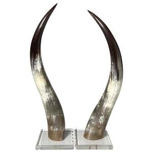 Par de Cuernos Largos Naturales de Estilo Animal, Ecológicos y de Primera Calidad, con Acabado Pulido y Duradero para Decoración del Hogar y Manualidades - Product Image 1