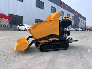 Penjualan Pabrik Cina Mini 300Kg <span class=keywords><strong>Loader</strong></span> Dumper Mesin Truk Mini Dumper Crawler Tipper - Product Image 6