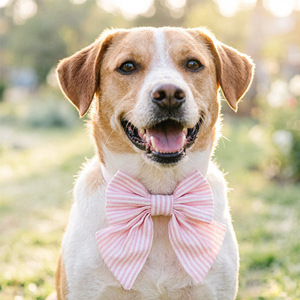 Collier pour <span class=keywords><strong>chien</strong></span> en coton doux et écologique <span class=keywords><strong>à</strong></span> rayures bleues et blanches de Noël, réglable avec boucle auto-agrippante et option personnalisée - Product Image 3