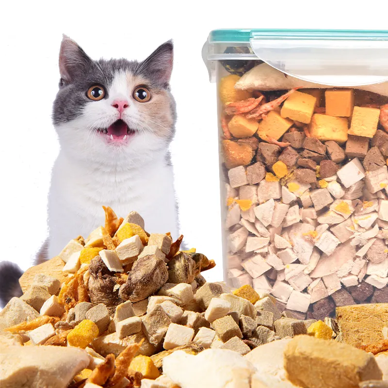 Harga pabrik sampel makanan kucing kering beku Gratis makanan ringan hewan peliharaan Protein tinggi kucing ayam kering beku tanpa aditif