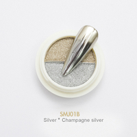Poudre de pigment multi-chrome OEM de haute qualité, poudre magique métallique pour ongles, poudre miroir pour salon de manucure