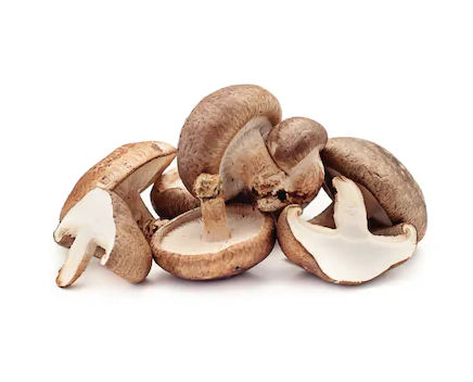 arisun供应30% 香菇香菇提取物粉 - buy lentinus edodes extract