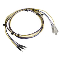 1.0mm 1.25mm 1.5mm 2.0mm Pitch 2/3/4/5/6 Pin Konektor Kabel Listrik & Steker Betina JST SH ZH PH XH Kabel Kustom