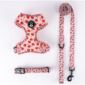 Arnés, Correa y Collar para Perros y Gatos con Diseño Personalizado, Ajustable, Transpirable, con Bandana, Conjunto de Arnés para Mascotas - Product Image 2