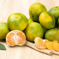 Shandong cultivé de haute qualité sans pépins citron vert agrumes frais 60 jours de durée de conservation Shengtian Agriculture