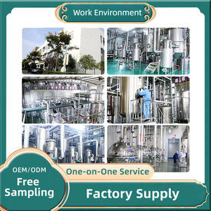 המחיר הטוב ביותר מזון כיתה אבקת מסיס אבקה לבריאות hplc sulforaphane dl-sulforaphane מפרט 99% ברוקולי - Product Image 3