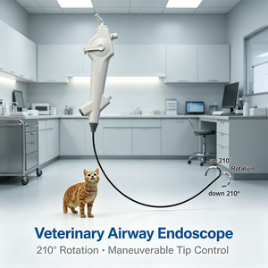 Broncoscopio Electrónico Flexible Veterinario de Un Solo Uso, Desechable y Estéril, para Terapia Intervencionista de Vías Respiratorias en Caninos y Felinos - Product Image 1