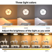 Veilleuse LED à commande tactile avec télécommande, magnétique, pour voiture et chevet de chambre, en PC, batterie intégrée, blanc chaud/froid