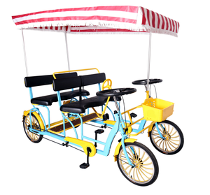 Quadricycle électrique familial Cargo Gym Master Vélo d'exercice Vélo familial 4 personnes Quadricycle importé à vendre - Product Image 2