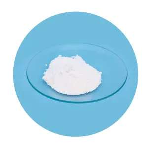 Top Quality Sodium Chlorite 80 Sodium Chlorite Powder With Good Price