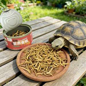 Vers de farine stérilisés et conservés, protéines naturelles, alimentation pour animaux de compagnie, vente en gros - Product Image 6