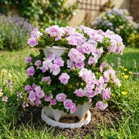 Pot de culture suspendu en plastique léger et durable pour fraises, avec système d'arrosage automatique et trou de drainage, jardinière extérieure écologique pour
